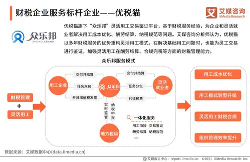 2021上半年中國財稅類企業(yè)服務(wù)專題研究報告 企業(yè)管理咨詢發(fā)展洞察